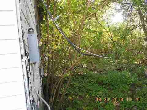 18889 Cardoni (4)_m.jpg